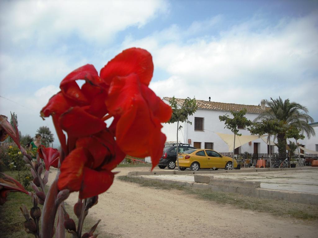 Holiday home Masia Llambrich Deltebre