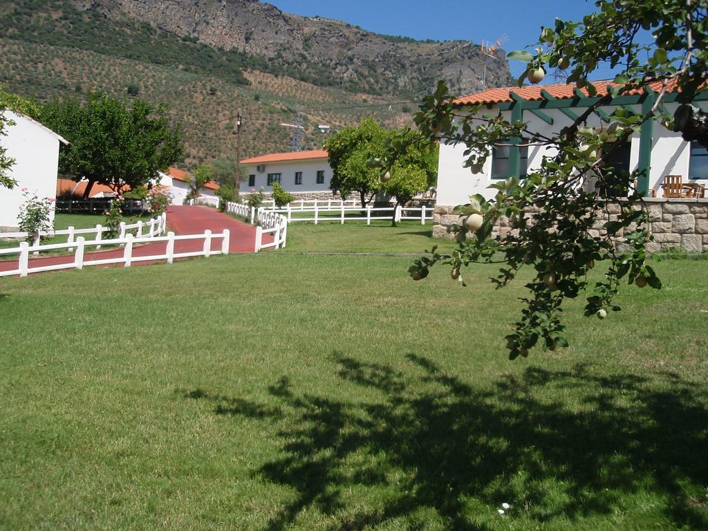 Aldeaduero Country house *