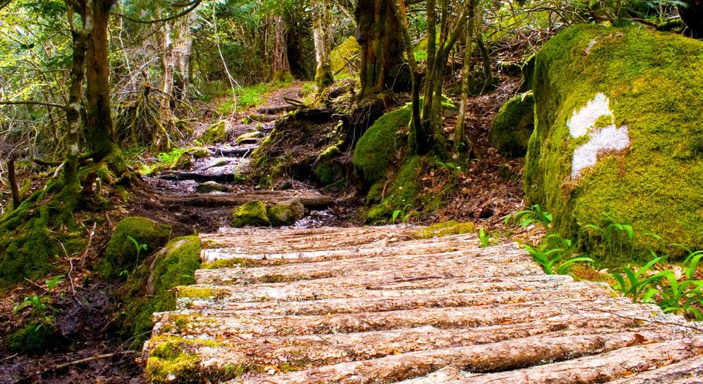 Hospedería El Pico Del Fraile Casa rural *