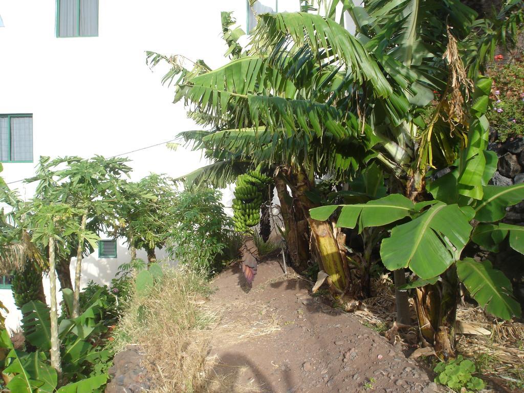 Apartamento Goyo Gomera