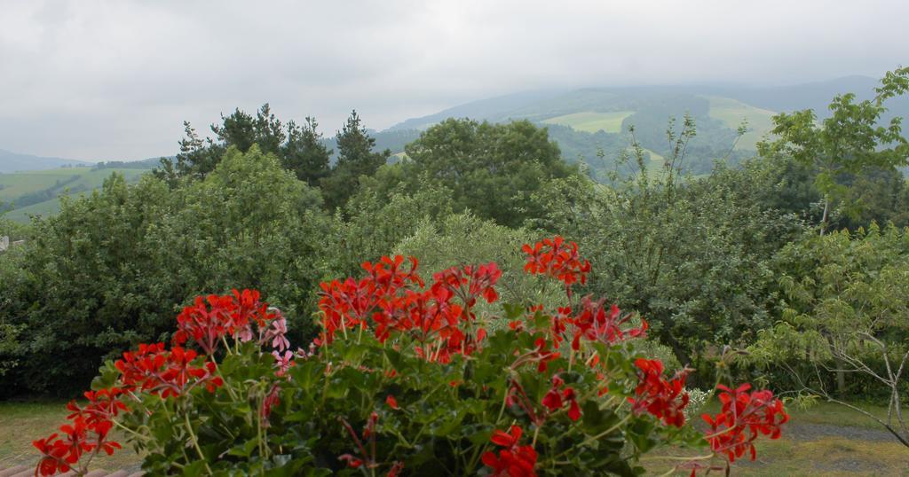 Olaskoaga Goikoa Farm stay