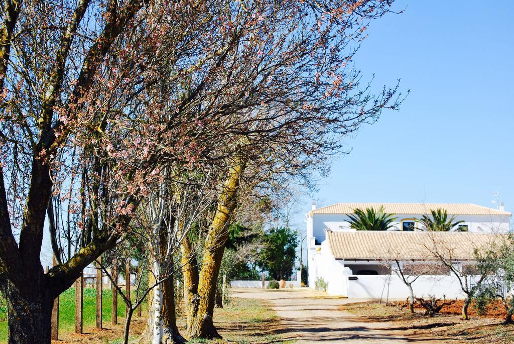 Cortijo De Vega Grande * Llerena