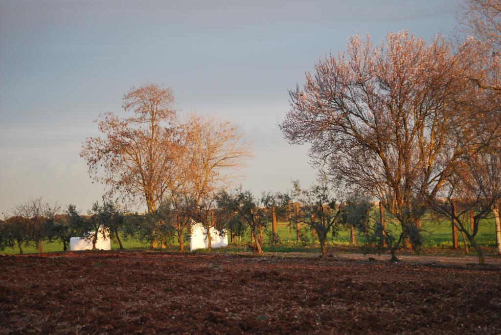 Country house Cortijo De Vega Grande