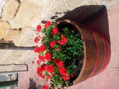 El Cuartelillo Viejo Country house