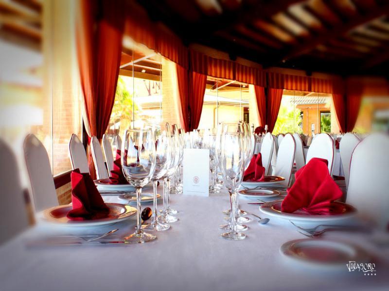 Chateau Vinasoro Hotel Alcazar de San Juan