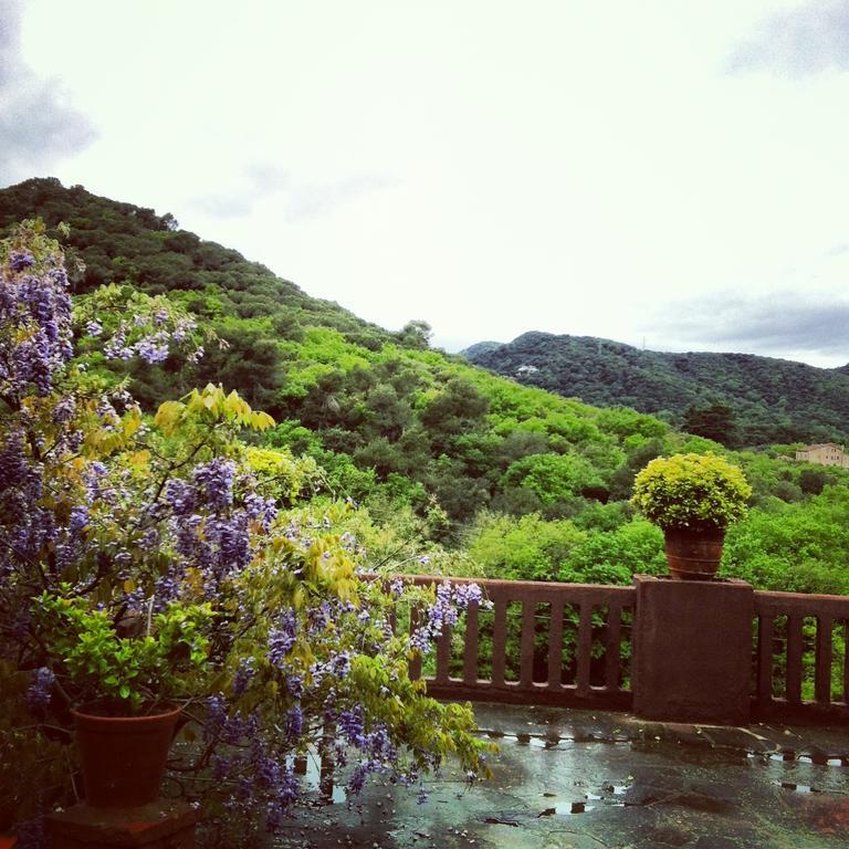 Masia Vista Hermosa * Vallromanes