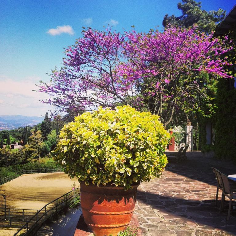 Masia Vista Hermosa Hotel *