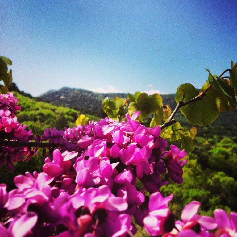 Masia Vista Hermosa Vallromanes