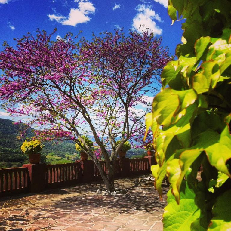 Hotel Masia Vista Hermosa *