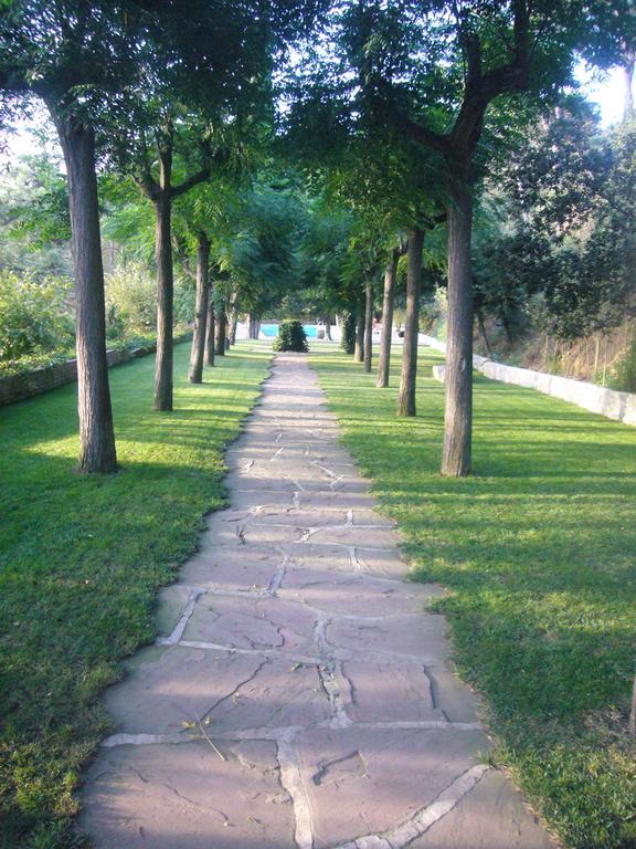 Masia Vista Hermosa *