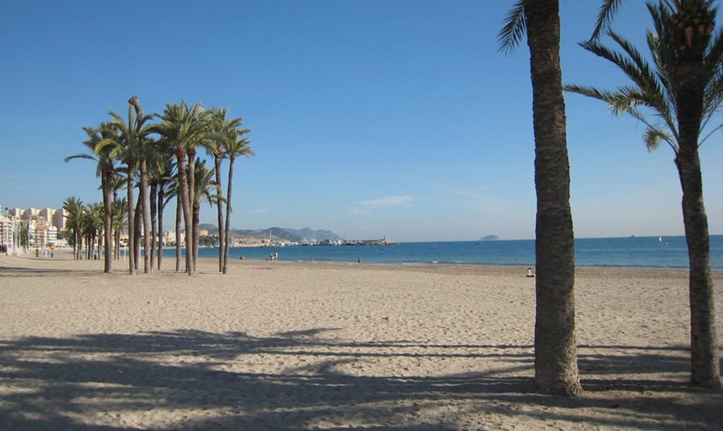 Galiplaya *