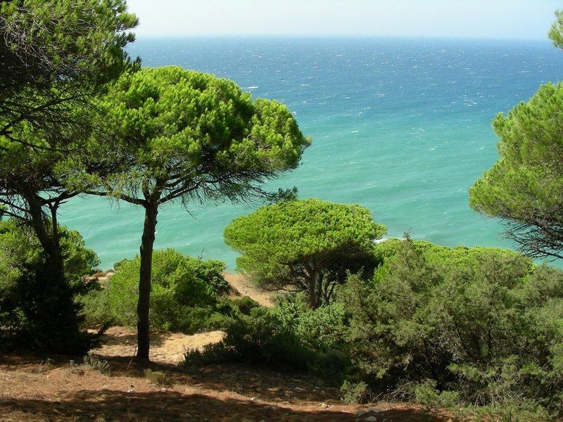 La Aceitera De Trafalgar Guest house 3*