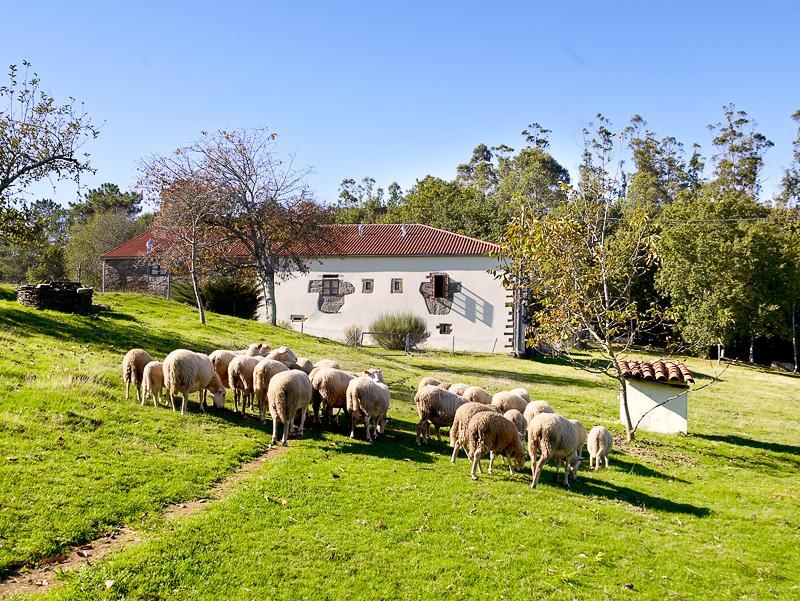 Casa rural A Pena De Augasantas *