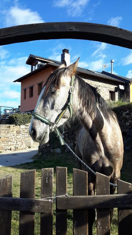 La Trucha Del Arco Iris Bed and breakfast