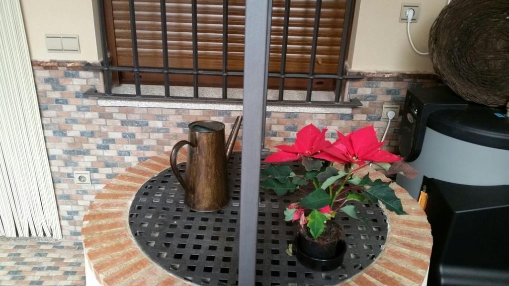 Apartamento Toneles *