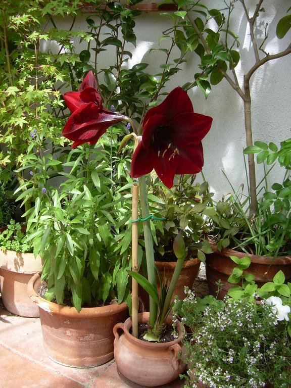 River Ebro Holidays Bed & Breakfast