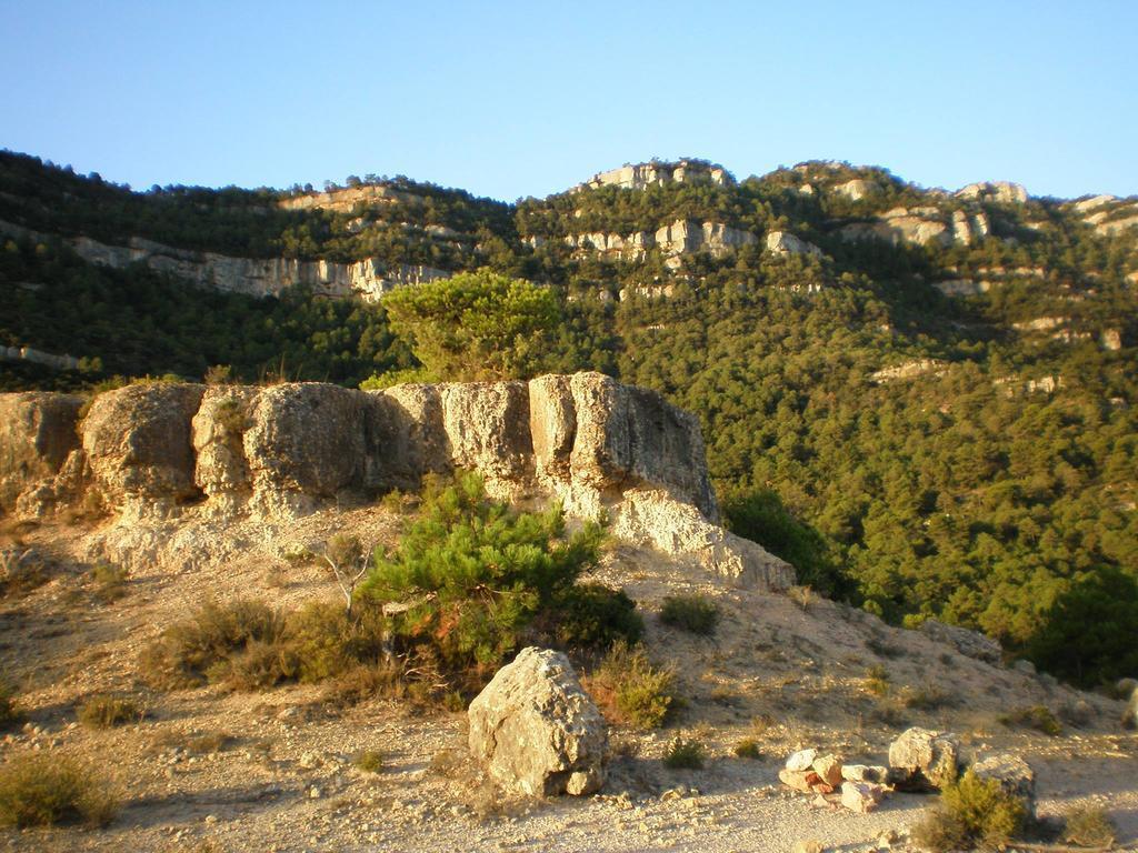 Montsant Park & Camping