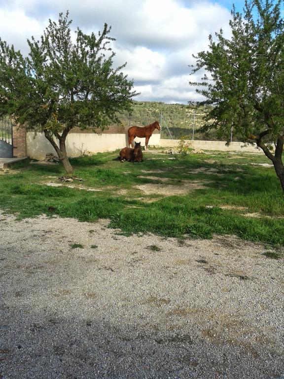 Country house La Contrada *