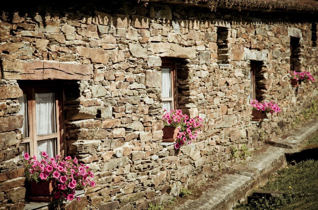 Pazo De *