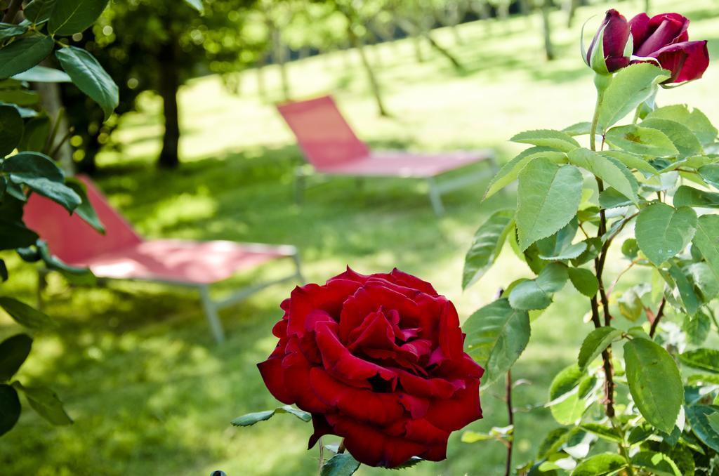 Pazo De Country house
