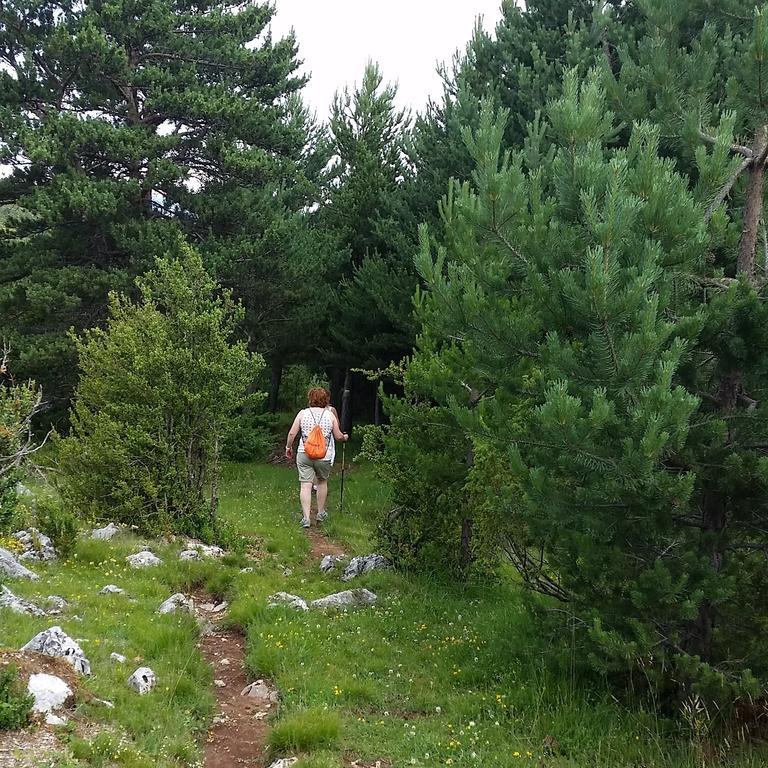 Castell Neril