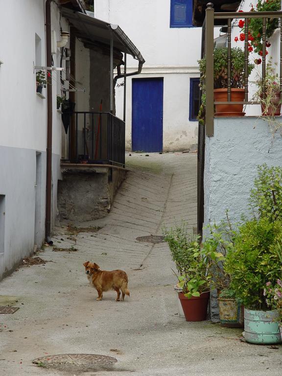 Pensión Casa Muniellos