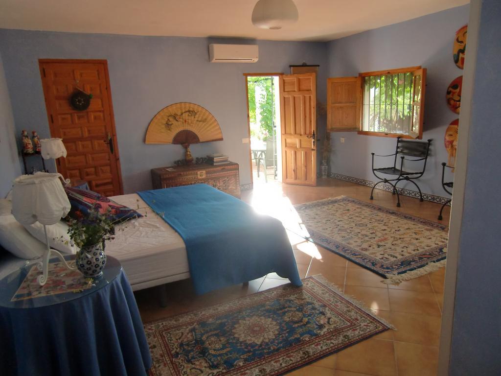 Bed & Breakfast El Diplomatico Feo - The Ugly Diplomat San Pablo