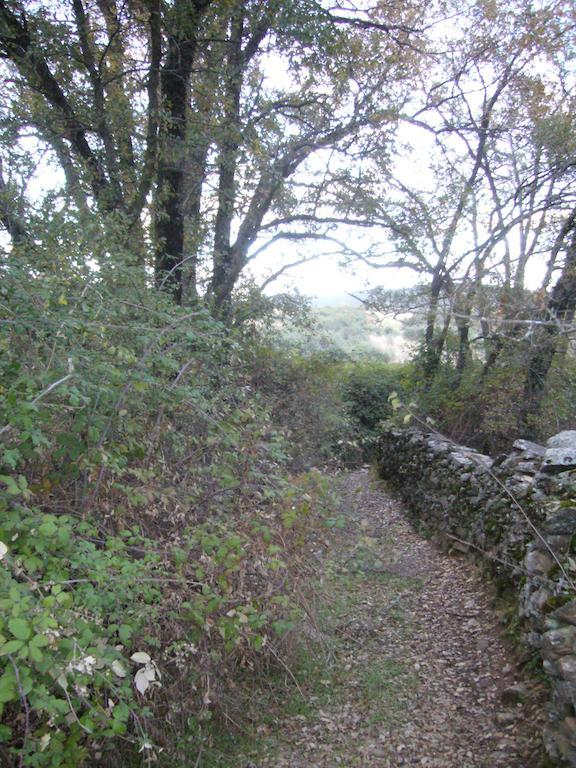 El Egio Cervera de Buitrago