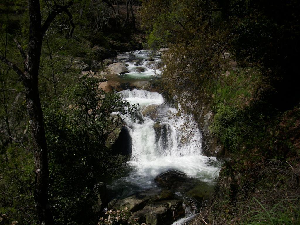 Yuste