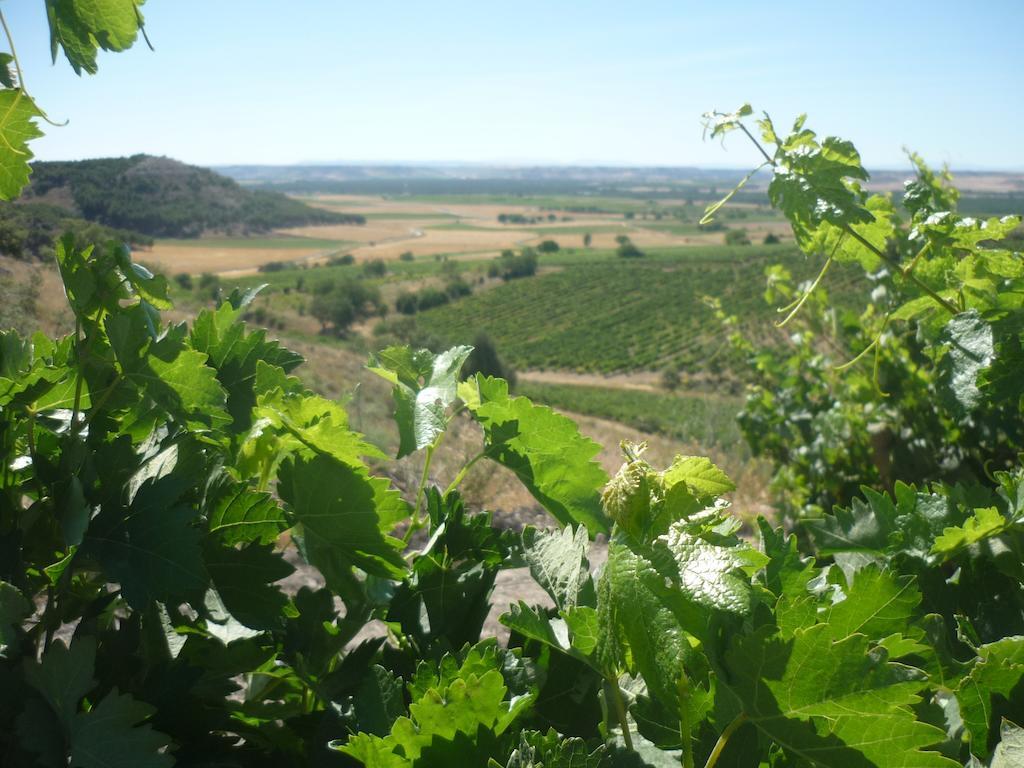 La Cantamora Rural