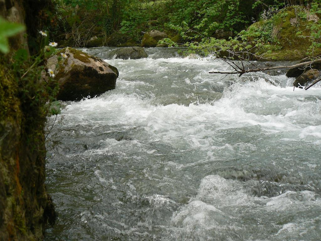 Y Ar Palacio Flórez Estrada