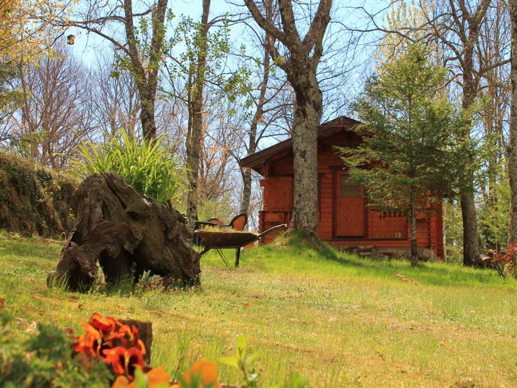 De Madera Sanabria Casa rural *
