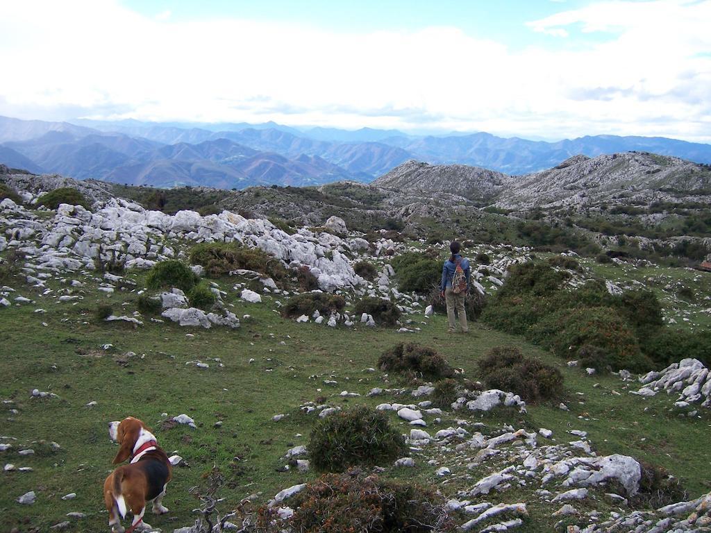La Gloria Del Sueve Alea
