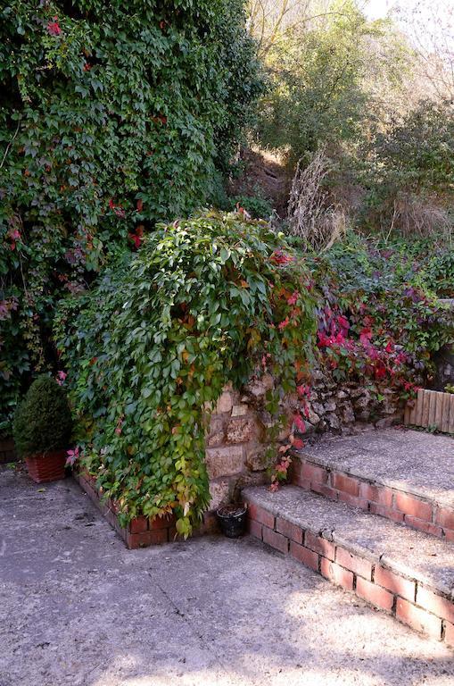 Hostel Molino Solacuesta
