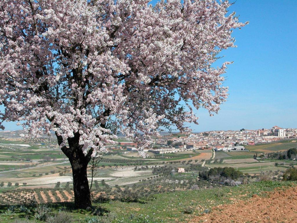 Rural Casa De La Marquesa Chinchon