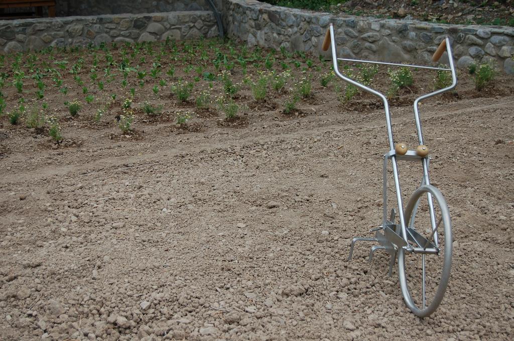 Molí Del Casó