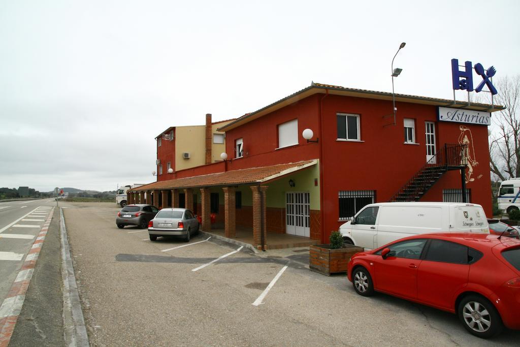 Asturias Jarilla