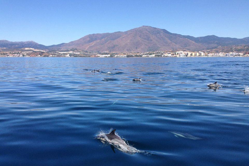 Con Vistas En Casares