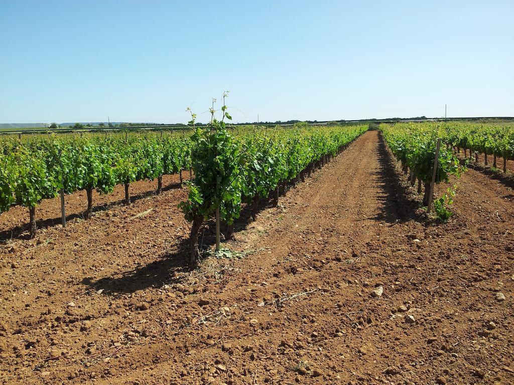 Holiday home Casa Rural Sarmiento *