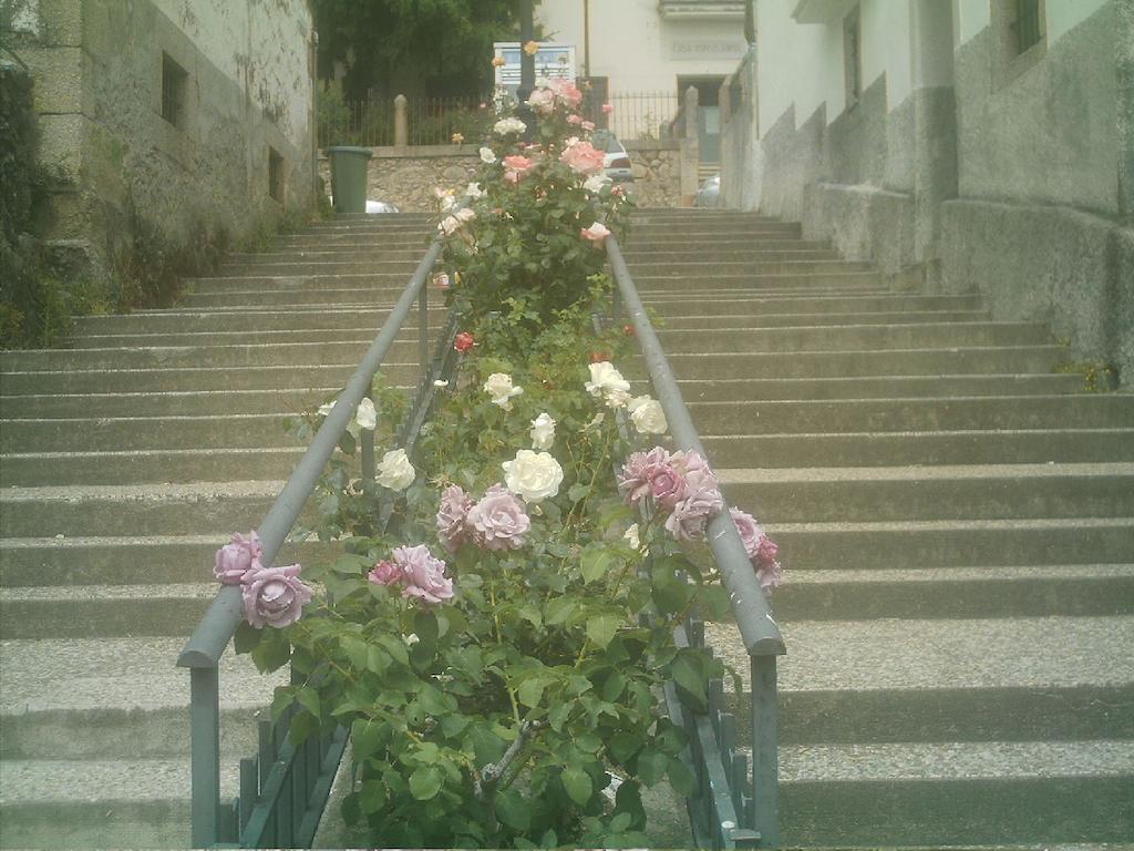 El Yedron