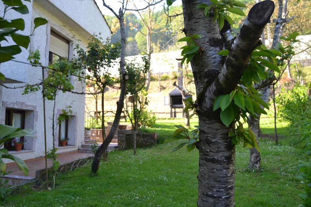 Apartamento Palmeras Onís