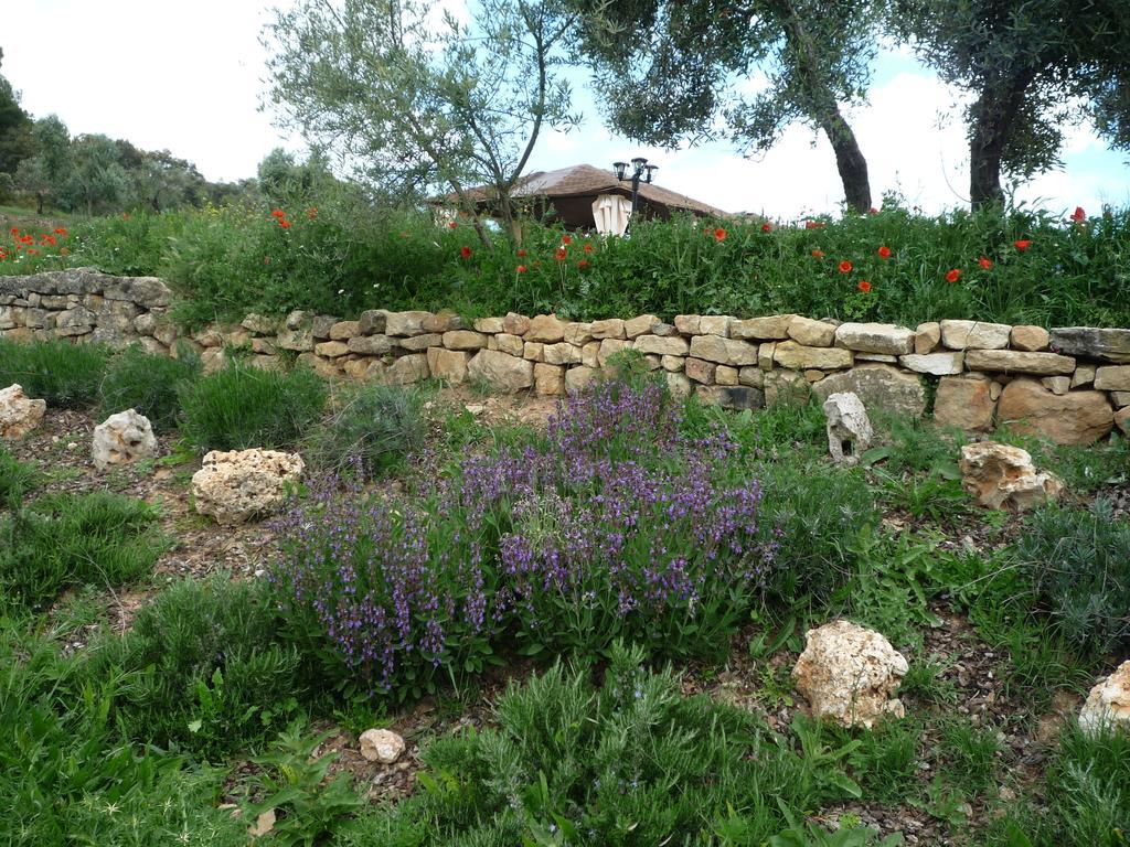 Hort De L'aubert Cretas