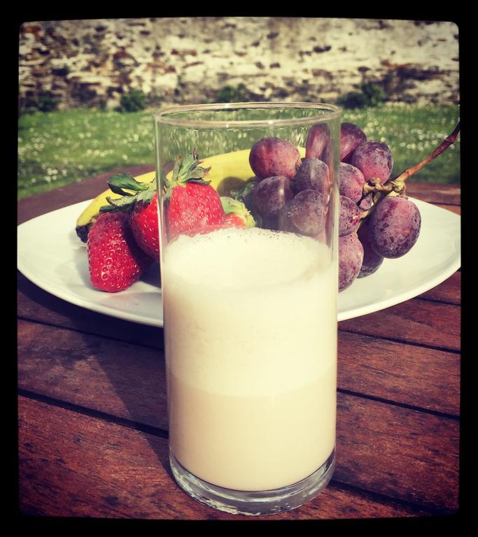 Gastronómico Araucaria