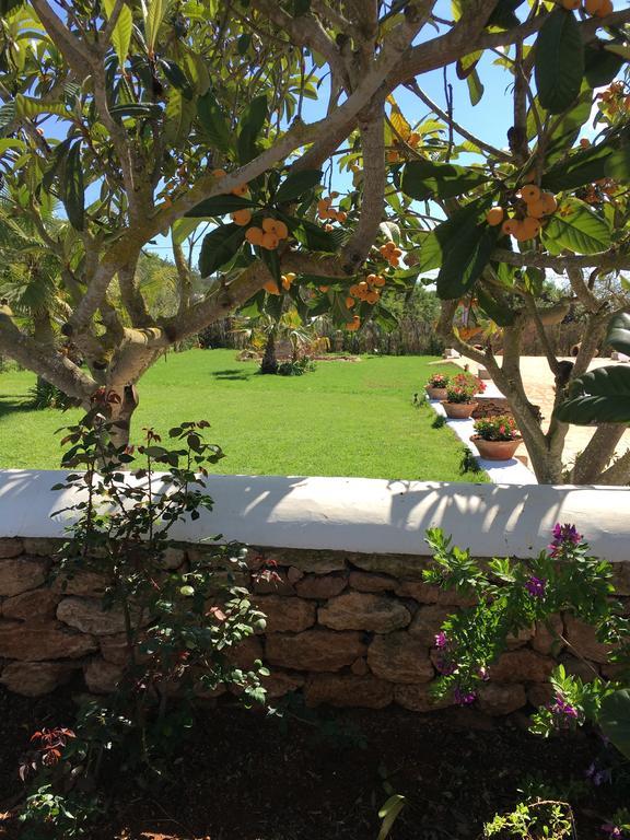 Сasa de vacaciones Gat Sant Carles de Peralta