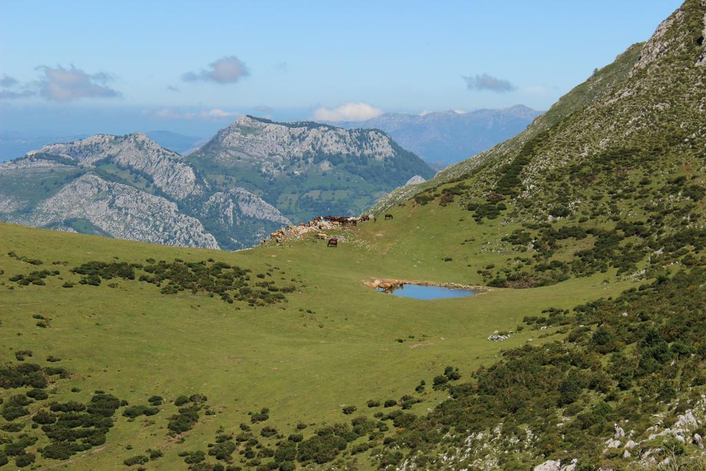 Hostel Alojamiento Covadonga *