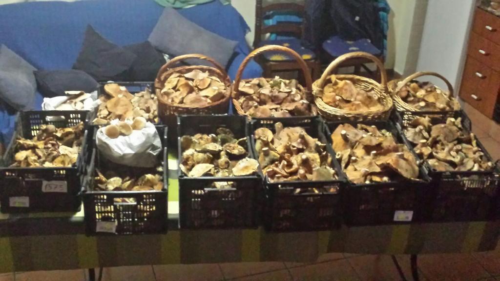 Сasa de vacaciones Rurales Carlos