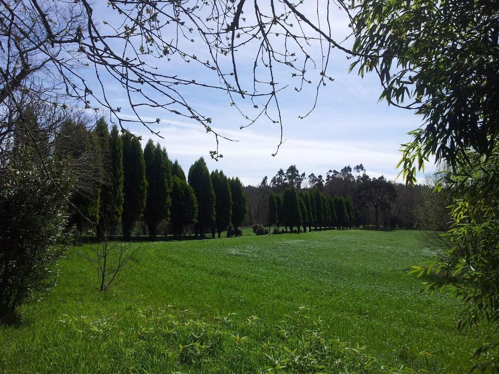 Pazo De Andeade