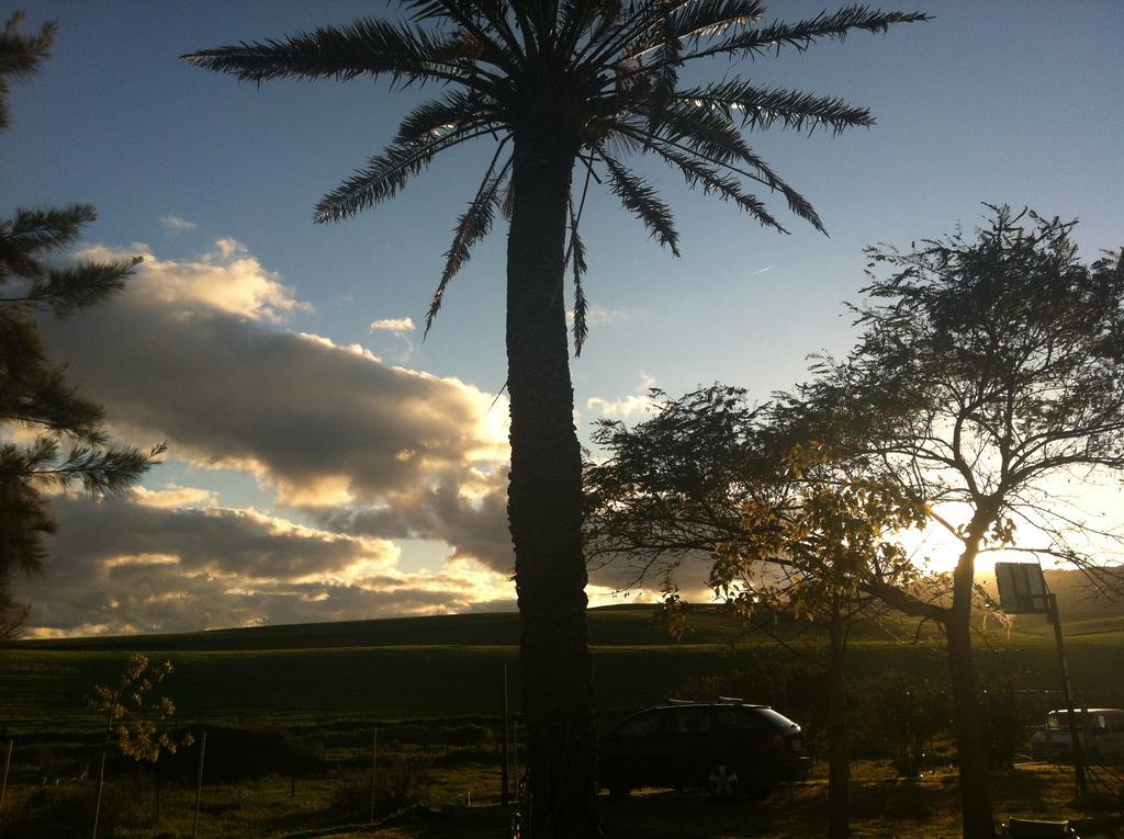 Maryvacas Rural