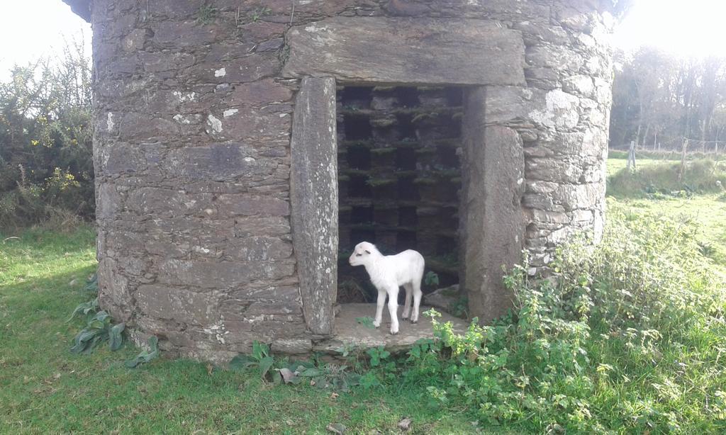 Country house A Pena De Augasantas