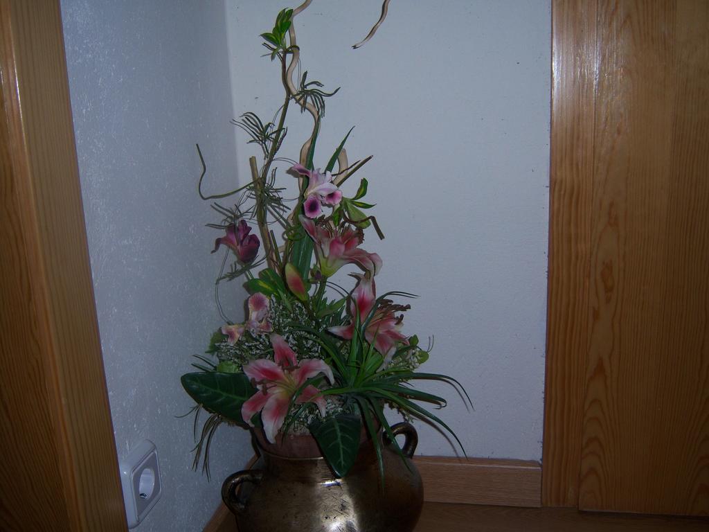 Casa Rogel